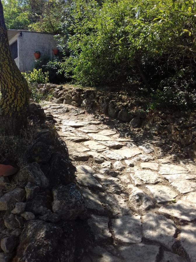Casinha De Campo- Quintinha Dos Cavalos- Arruda Dos Vinhos Εξωτερικό φωτογραφία