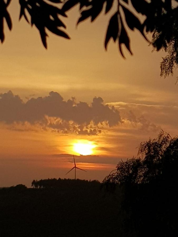 Casinha De Campo- Quintinha Dos Cavalos- Arruda Dos Vinhos Εξωτερικό φωτογραφία