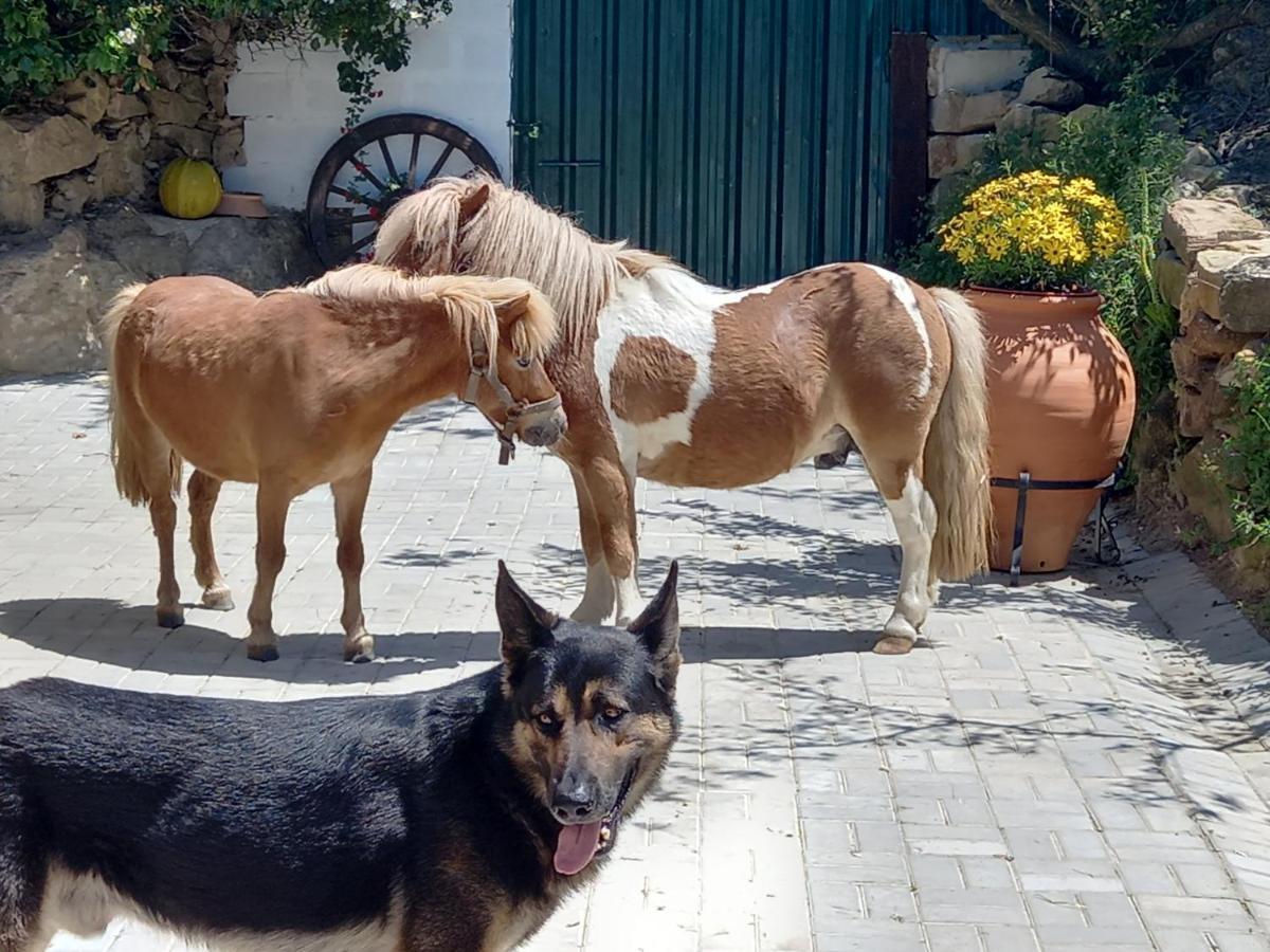 Casinha De Campo- Quintinha Dos Cavalos- Arruda Dos Vinhos Εξωτερικό φωτογραφία