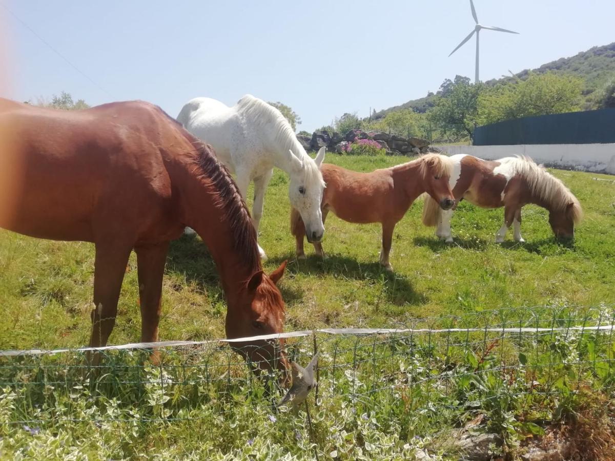 Casinha De Campo- Quintinha Dos Cavalos- Arruda Dos Vinhos Εξωτερικό φωτογραφία
