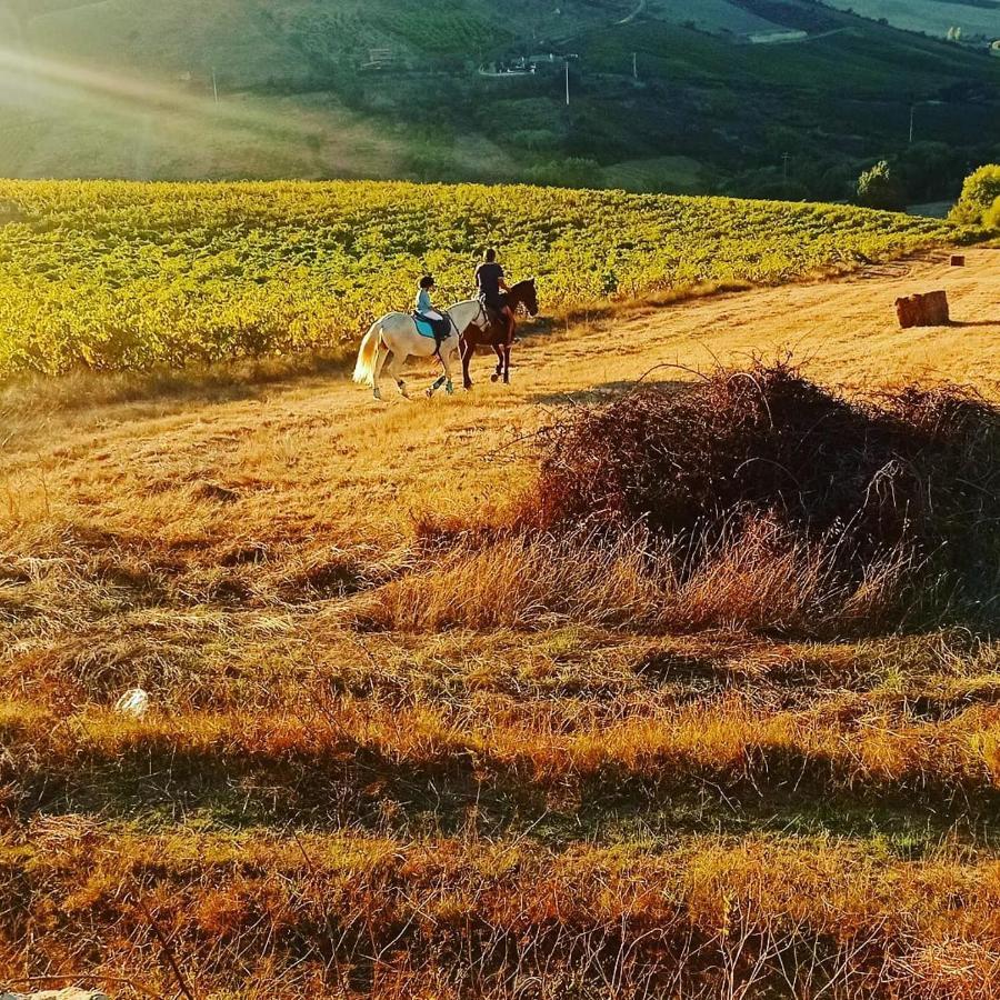 Casinha De Campo- Quintinha Dos Cavalos- Arruda Dos Vinhos Εξωτερικό φωτογραφία